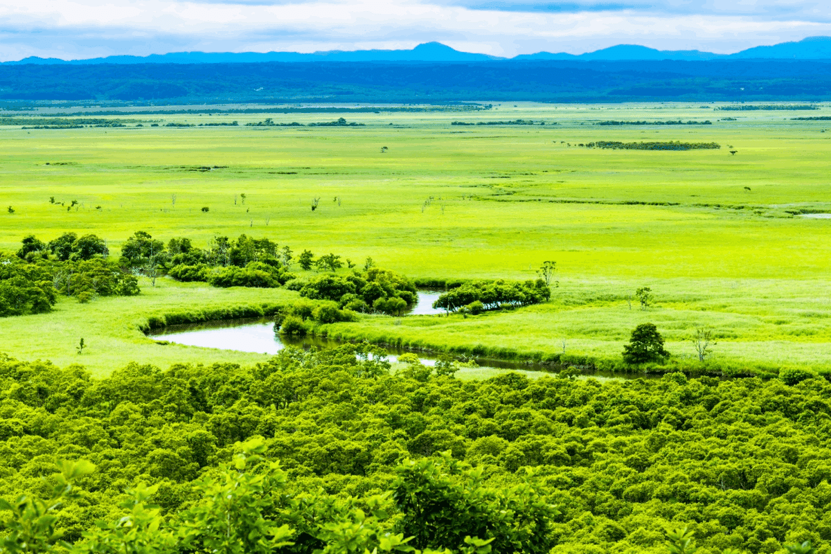 E04-016 北海道の自然③ 釧路湿原 写真/表優臣 淡交社 カバー