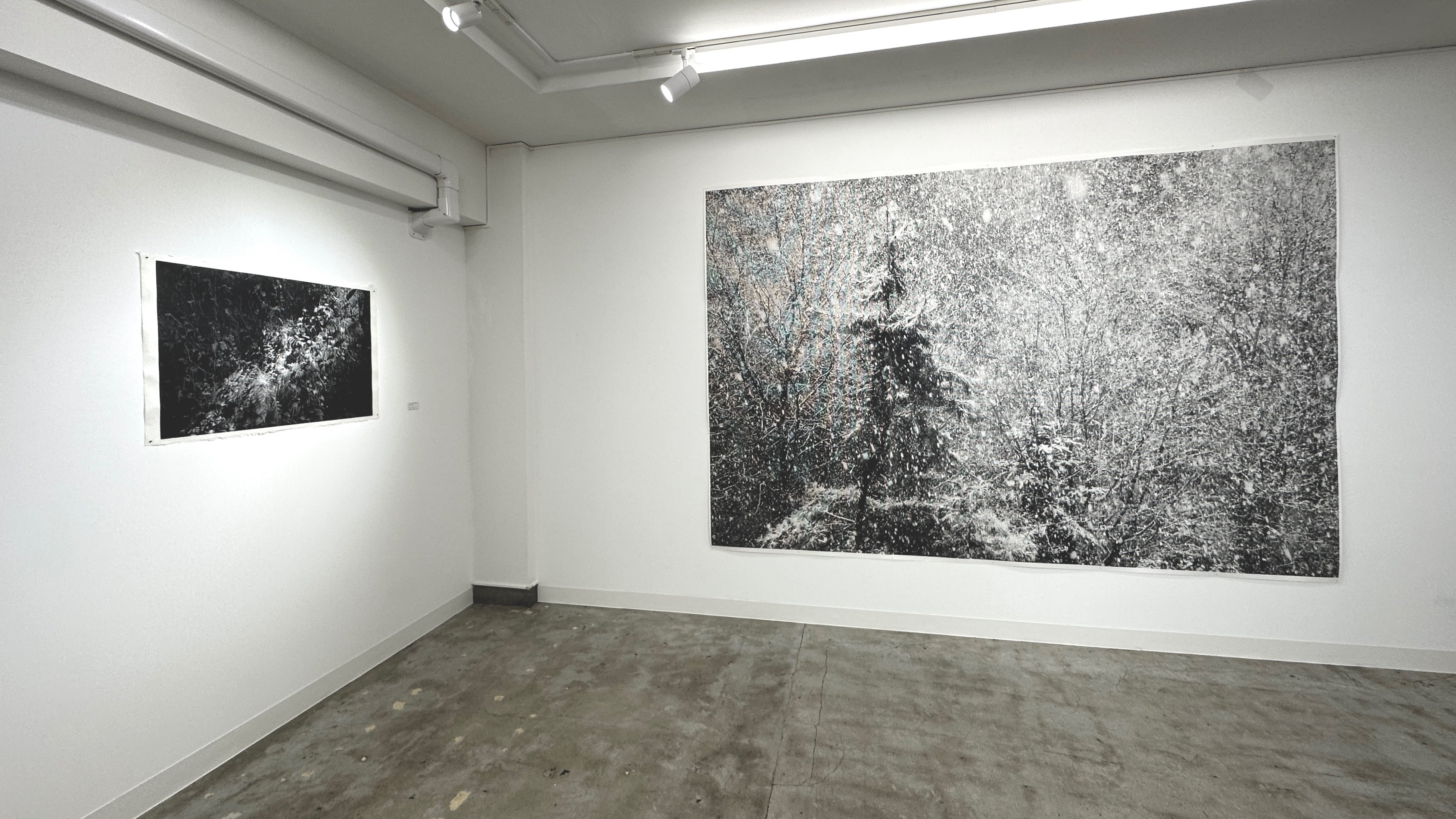 森の空気感を堪能 湯浅 克俊 氏 「Fragmentary」｜無為の茶客 | Kazuo