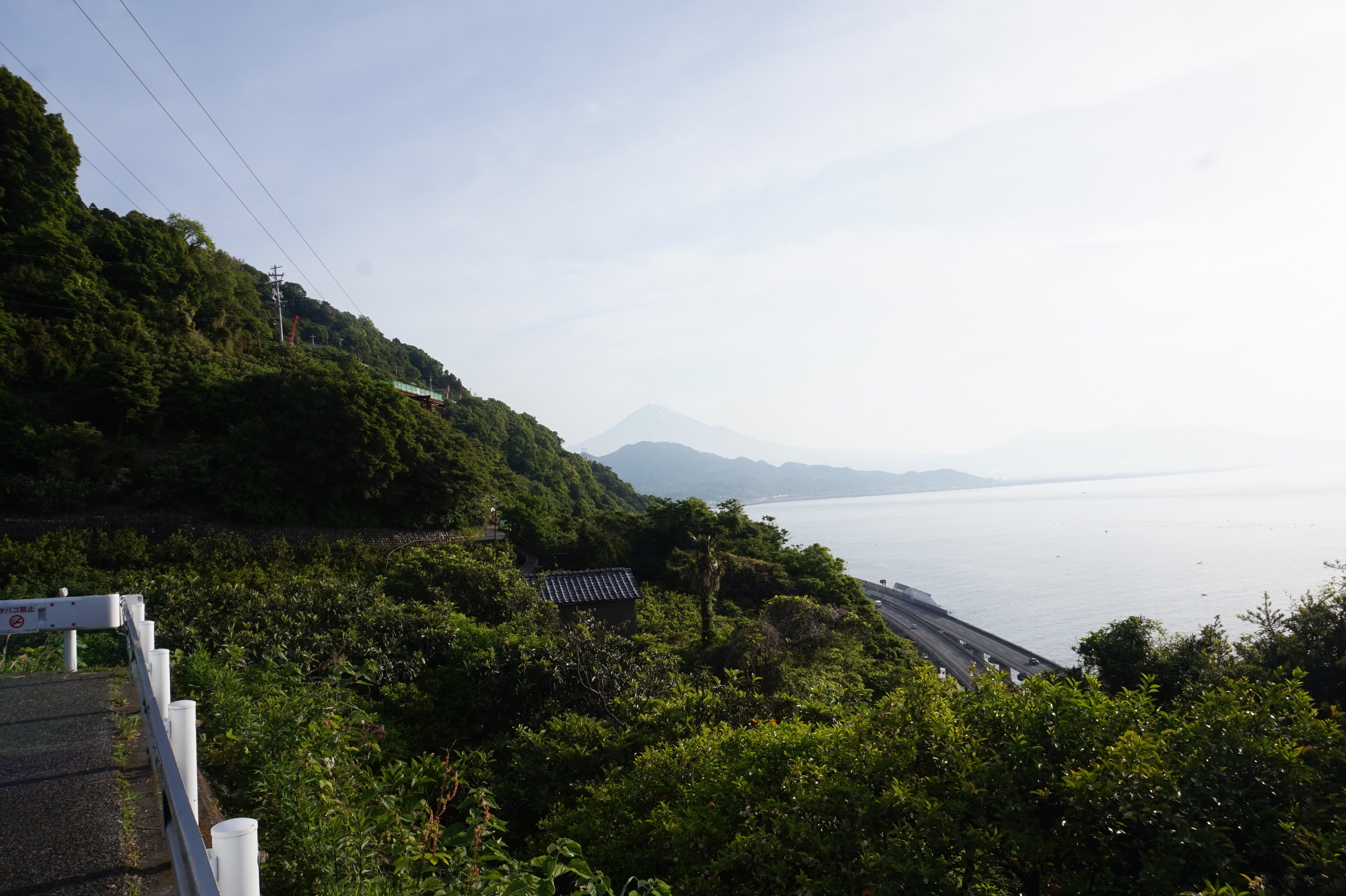 昔から変わらない景色。薩埵峠｜コバの休日
