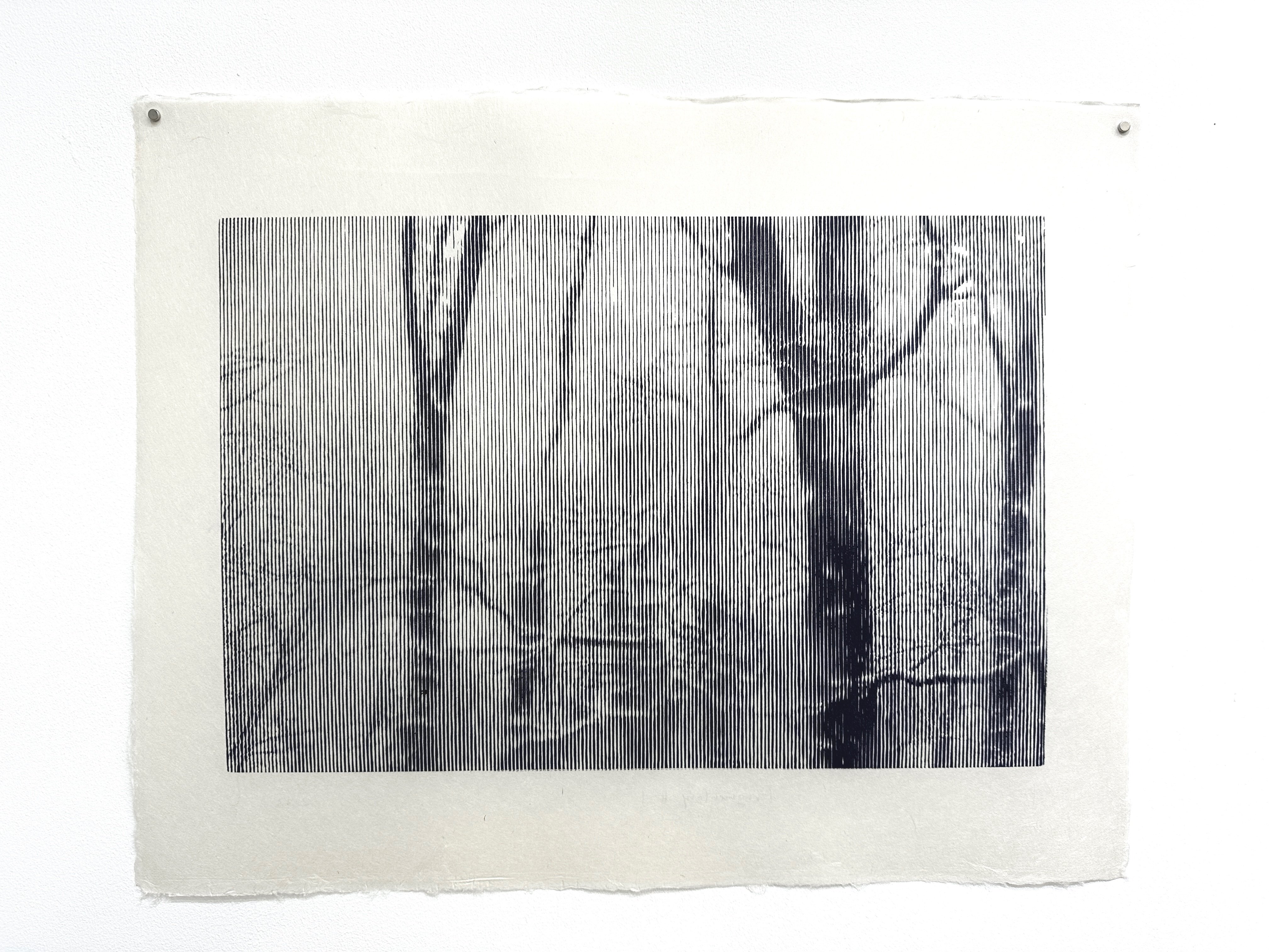 森の空気感を堪能 湯浅 克俊 氏 「Fragmentary」｜無為の茶客 | Kazuo