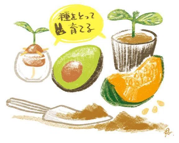 植物栽培記録TOP