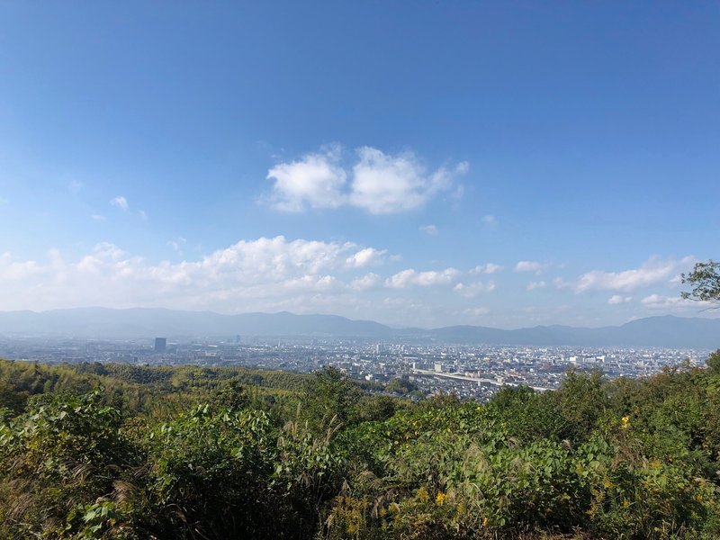 大岩展望所からの眺望