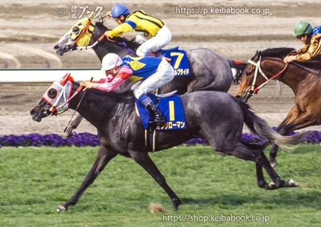 なつかしGⅠ~1994(平成6)年|競馬ブック なつかしGⅠ~1994(平成6)年|競馬ブック