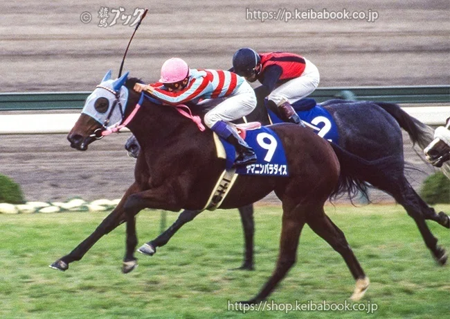 なつかしGⅠ～1994（平成6）年｜競馬ブック