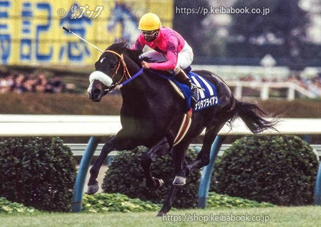 なつかしGⅠ~1994(平成6)年|競馬ブック なつかしGⅠ~1994(平成6)年|競馬ブック
