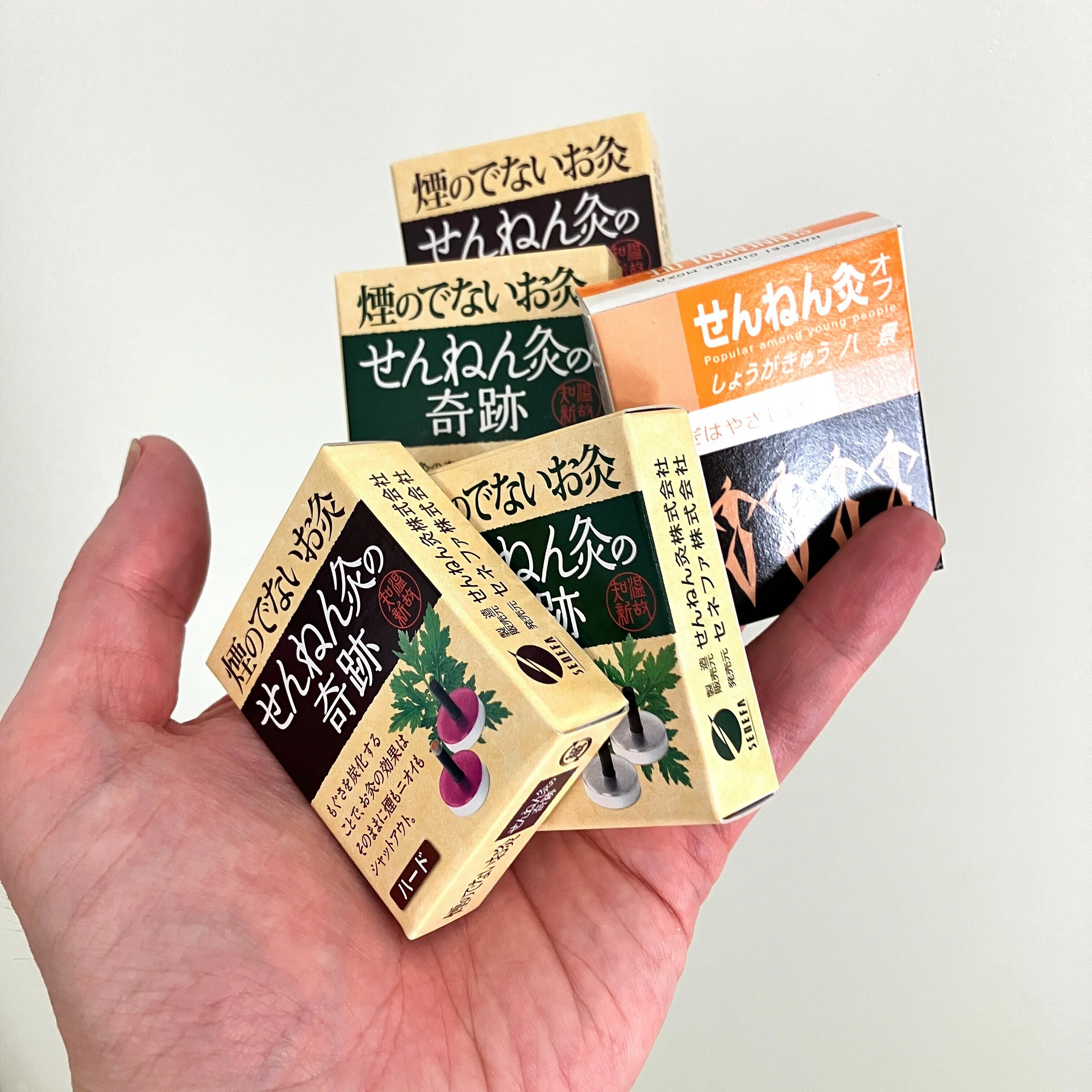 せんねん灸ショールーム博多に行ってきました。｜MWM MIZORAH