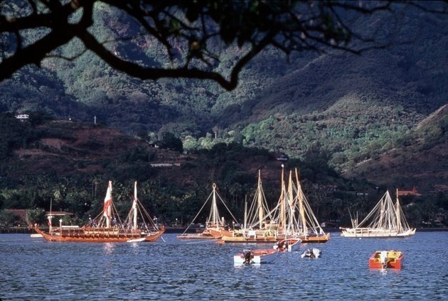 ホクレア号②星、雲、海、鳥の動きを読む｜Susie@Honolulu, Hawaii