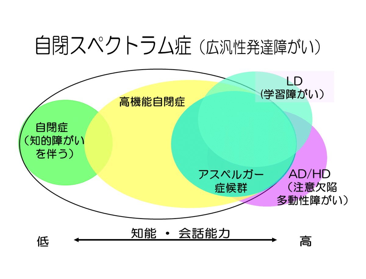 書籍紹介『科学から理解する 自閉スペクトラム症の感覚世界