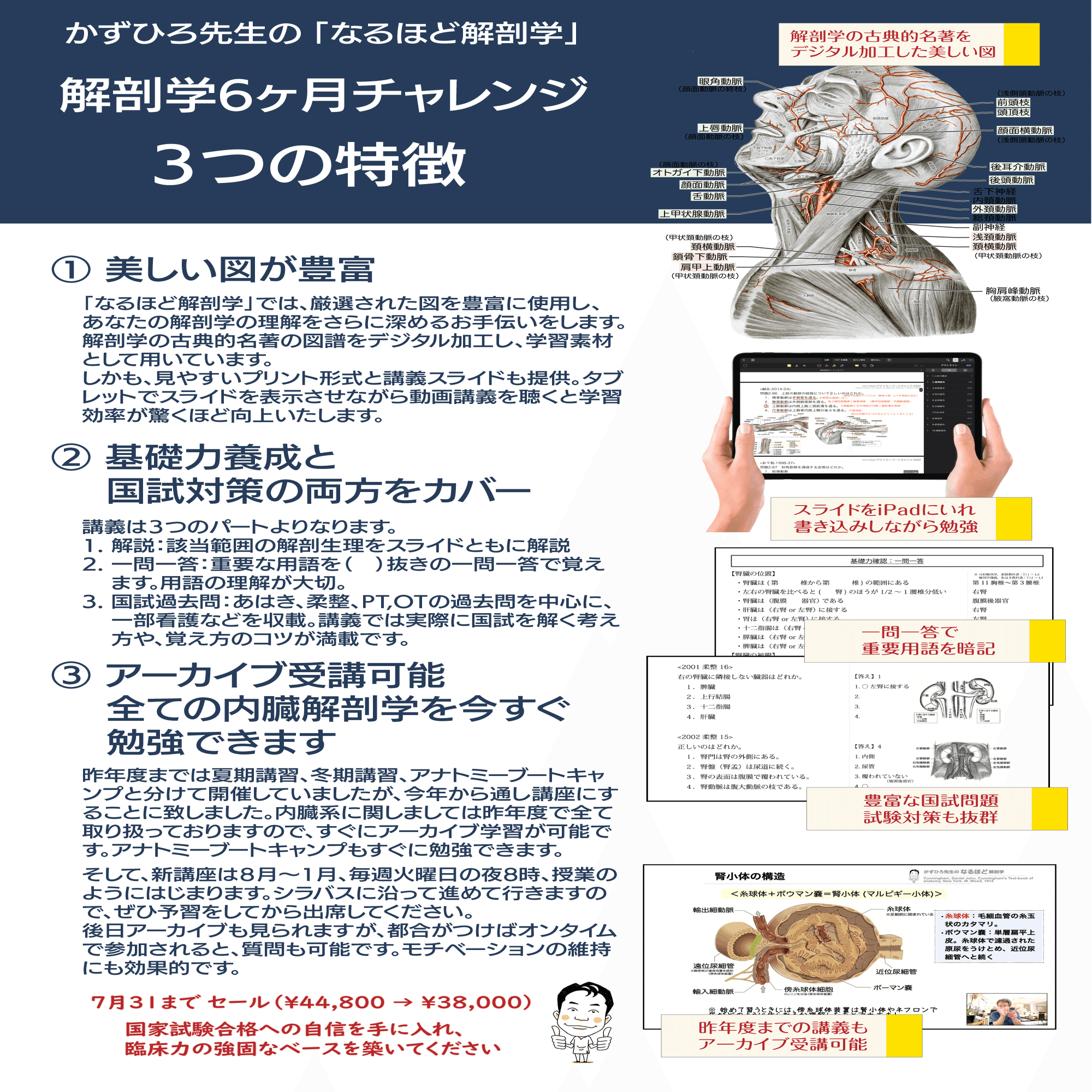 医学部新一年生セット 医学部 教科書 基礎医学 解剖 組織 発生 大学生