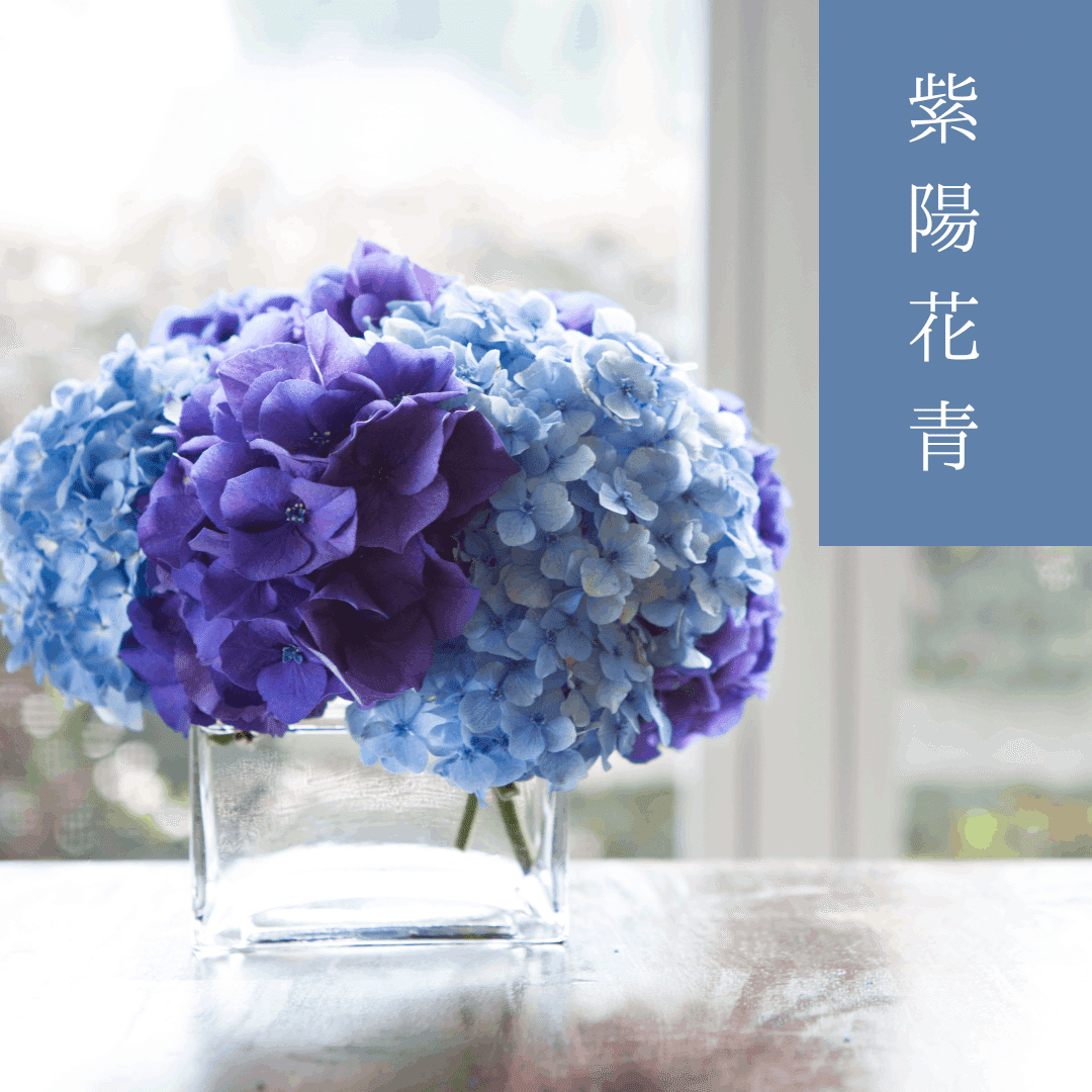 公式販売品 大きい雨垂れ紫陽花３本セット【白・ピンク・水色グラデ 