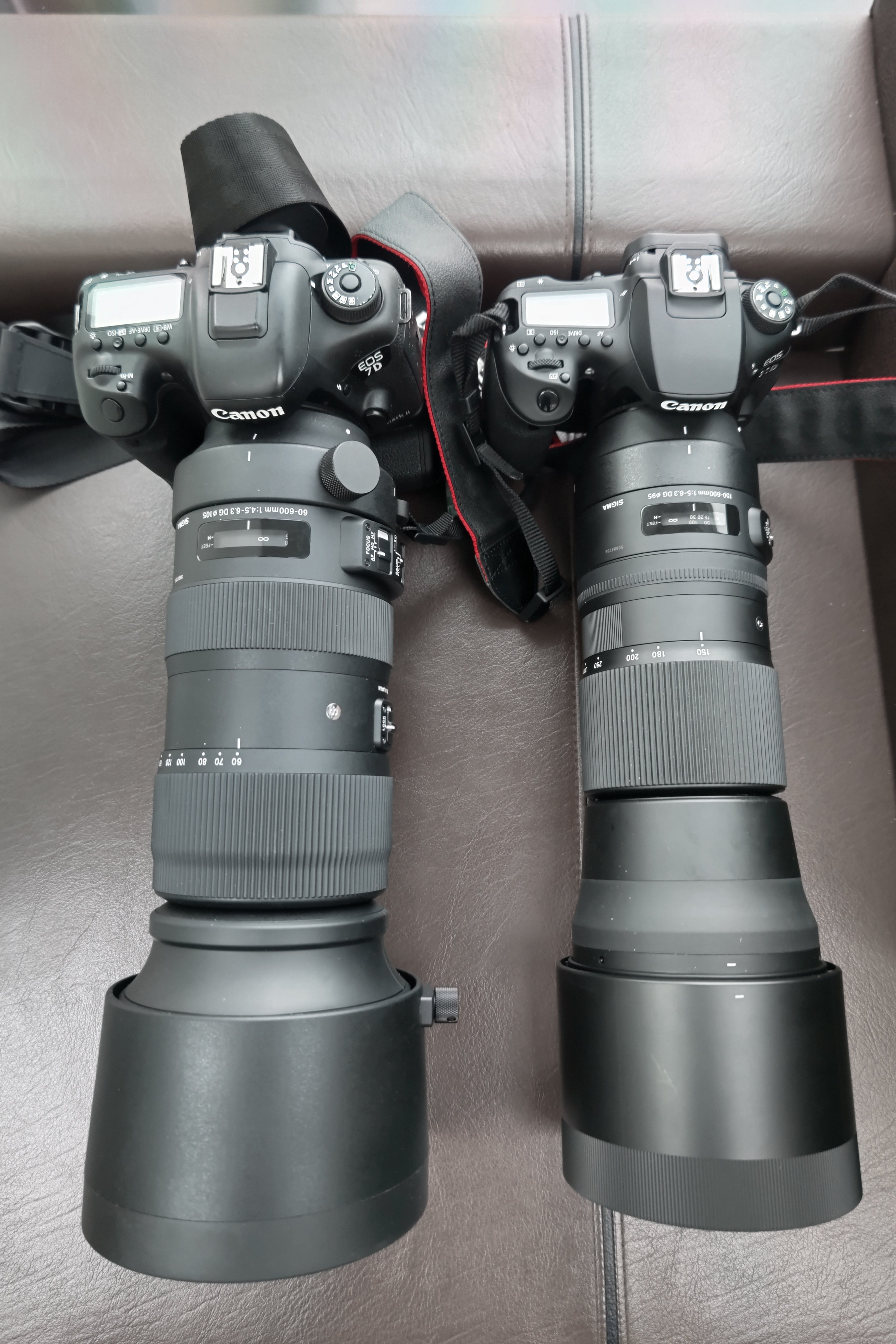SIGMA 60-600mm F4.5-6.3 DG OS HSM Sports購入レビュー|旦那 SIGMA 60-600mm F4.5-6.3 DG OS HSM Sports購入レビュー|旦那