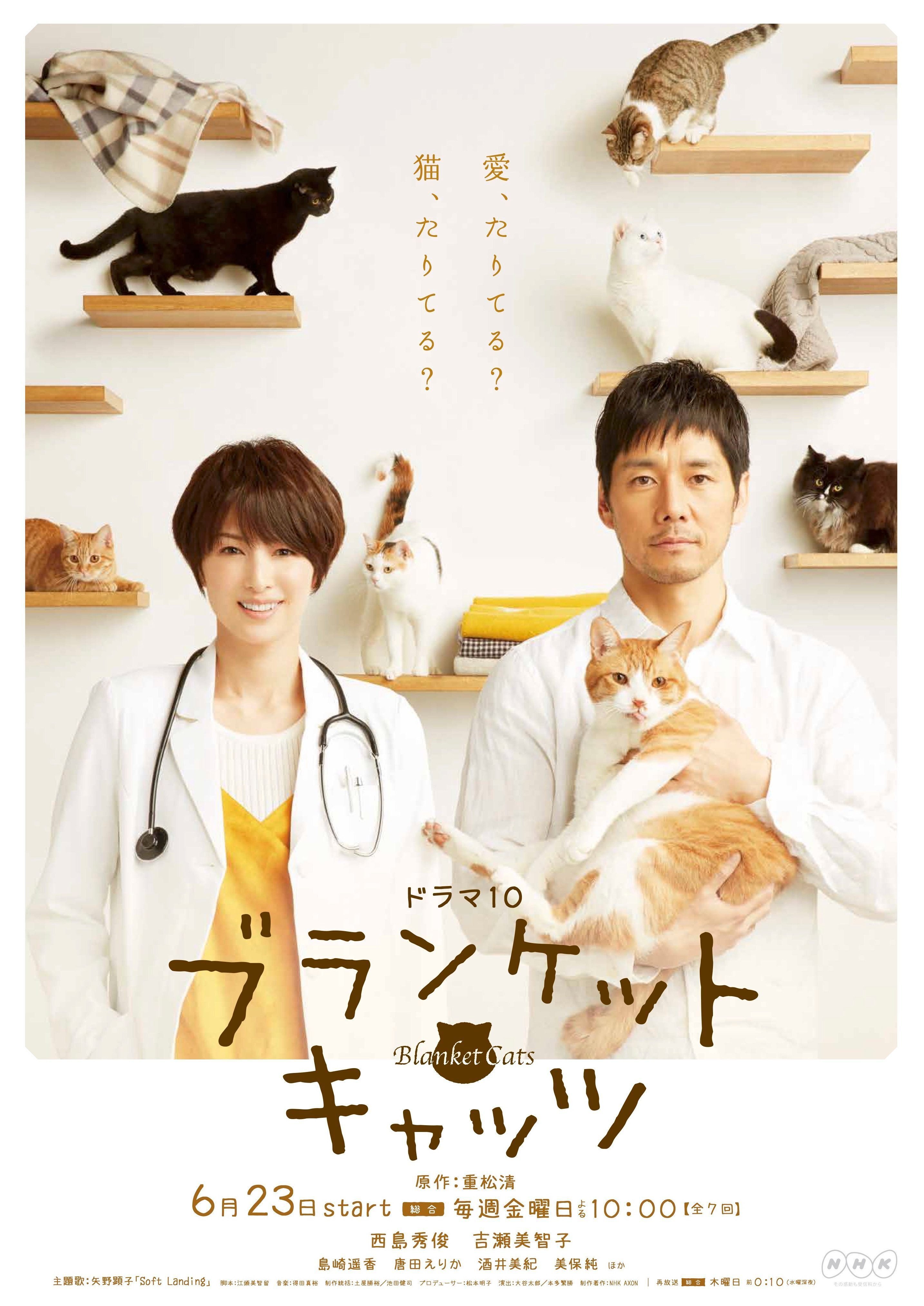 【西島秀俊 /吉瀬美智子 】ブランケット・キャッツ NHK DVD4枚組 西島秀俊 /吉瀬美智子 】ブランケット・キャッツ NHK DVD4枚組