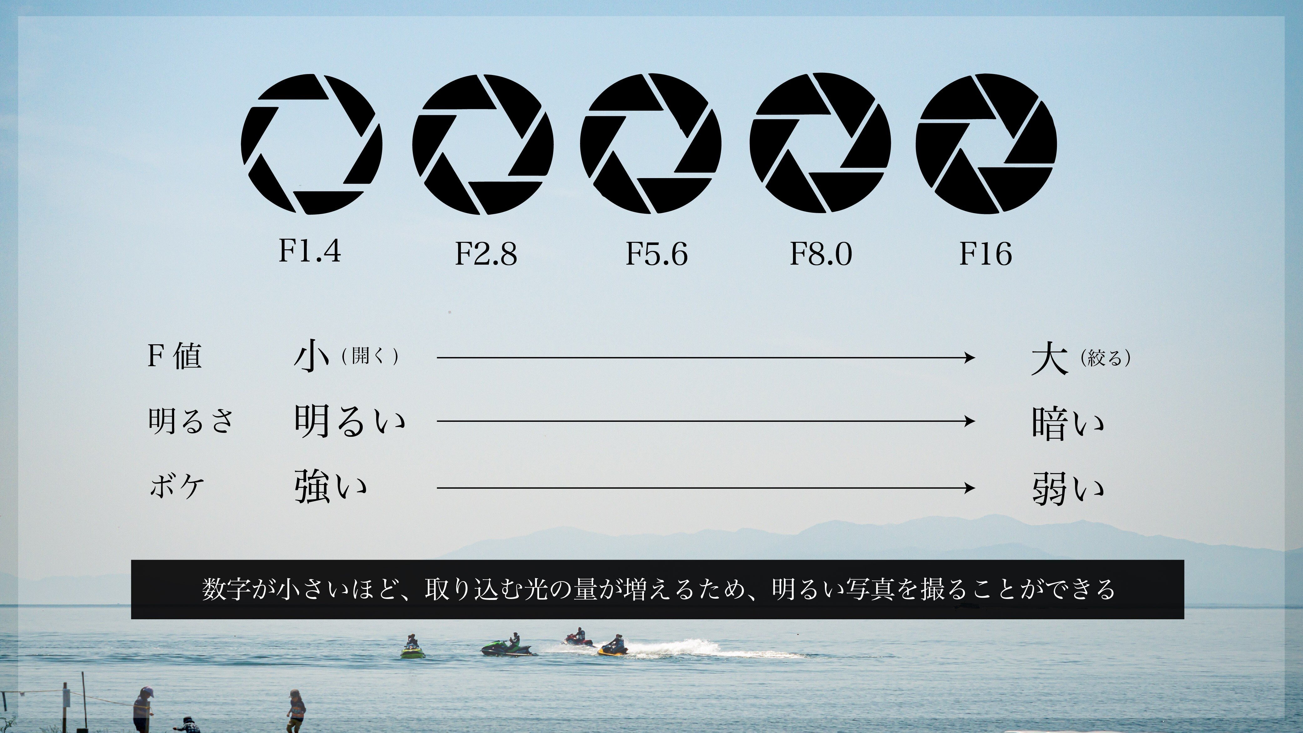 LUMIX Ability】カメラ初心者必見！明るさやボケ感を