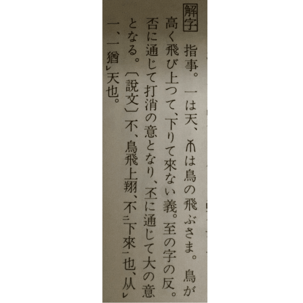 漢方用語大辞典（1463ページ見たところ書込なし(極美)　函に幾分しわ・傷・汚れ 漢方用語大辞典（1463ページ見たところ書込なし(極美) 函に