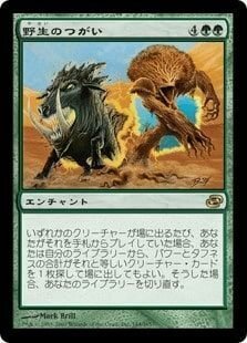 EDH】帰還した探検者、セルヴァラ/Selvala, Explorer Returned