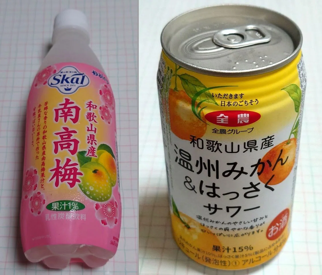 和歌山 南高梅 2L 満杯 和歌山 南高梅 2L 満杯