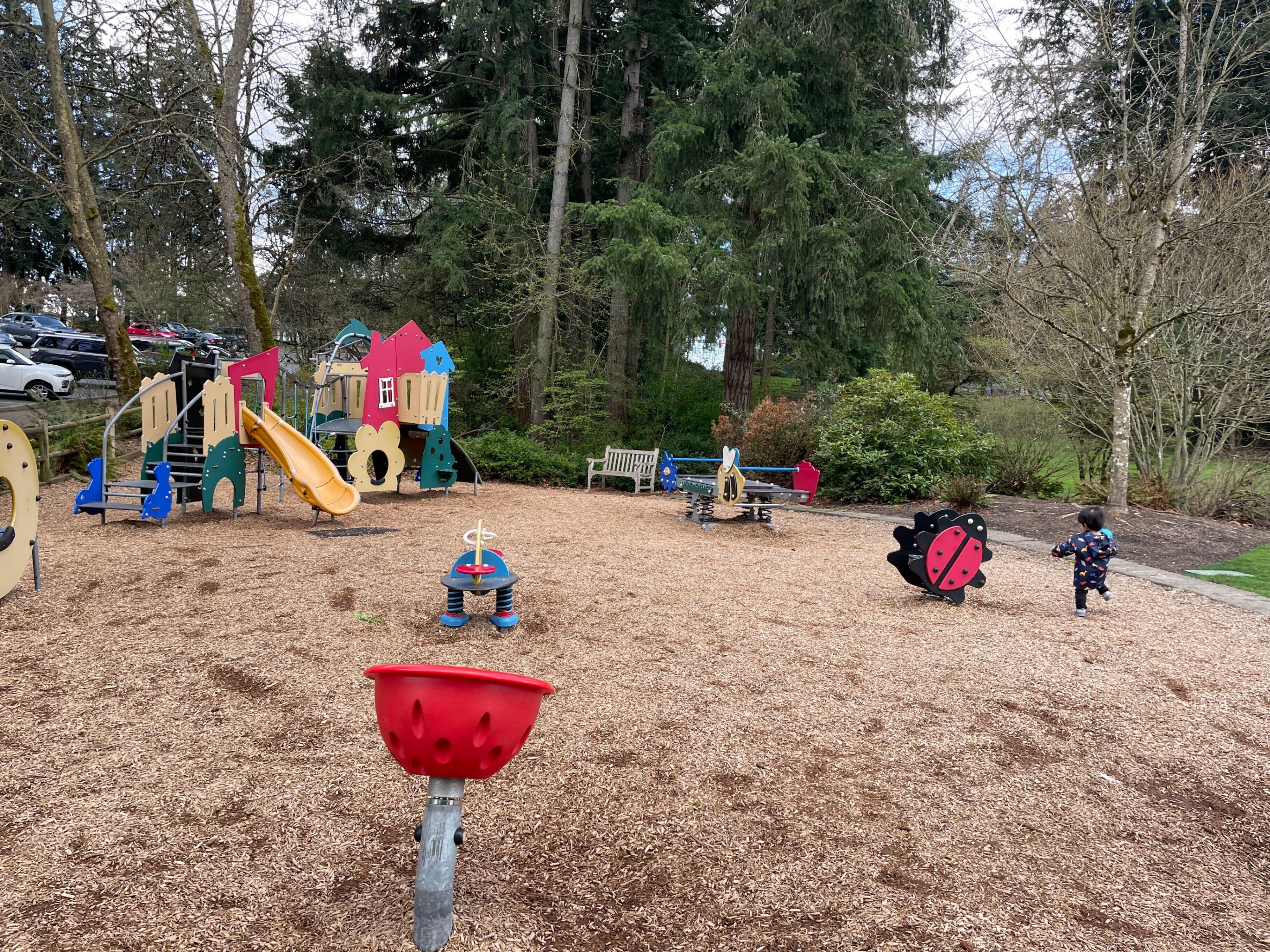 大学が見える公園 Favorite Parks nearby Bellevue｜picton_wakaba