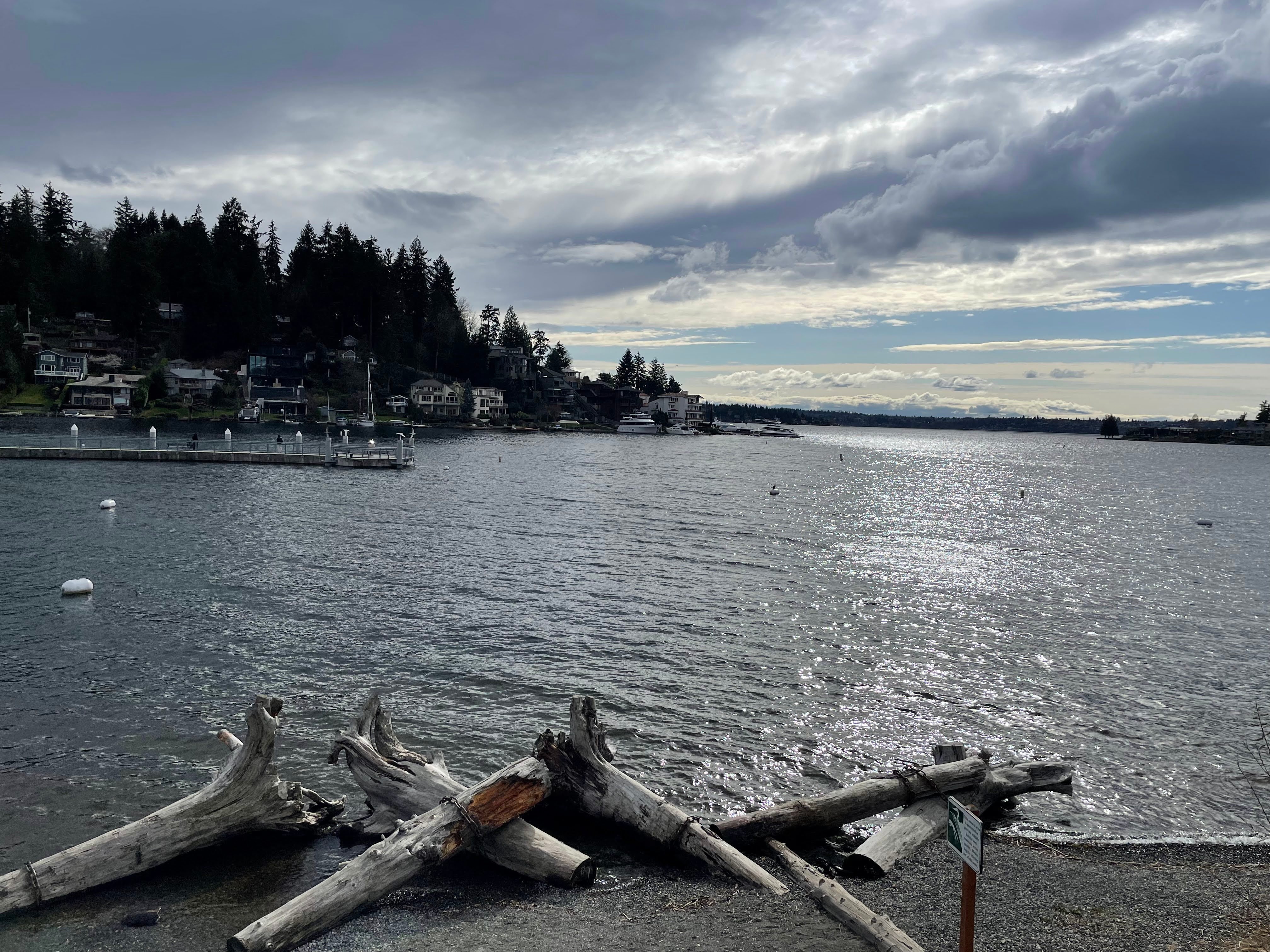 Favorite Parks nearby Bellevue｜picton_wakaba