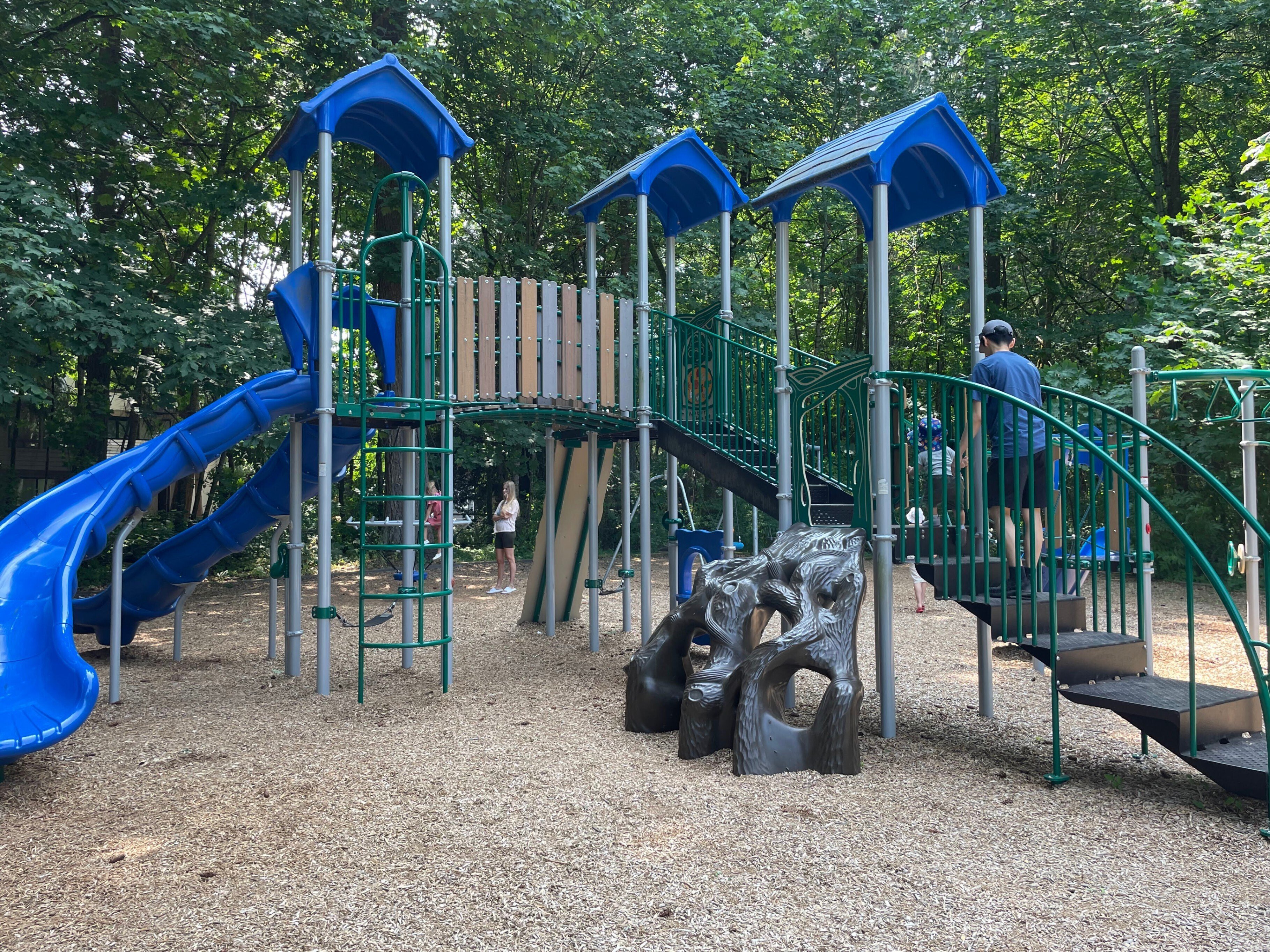 Favorite Parks nearby Bellevue｜picton_wakaba