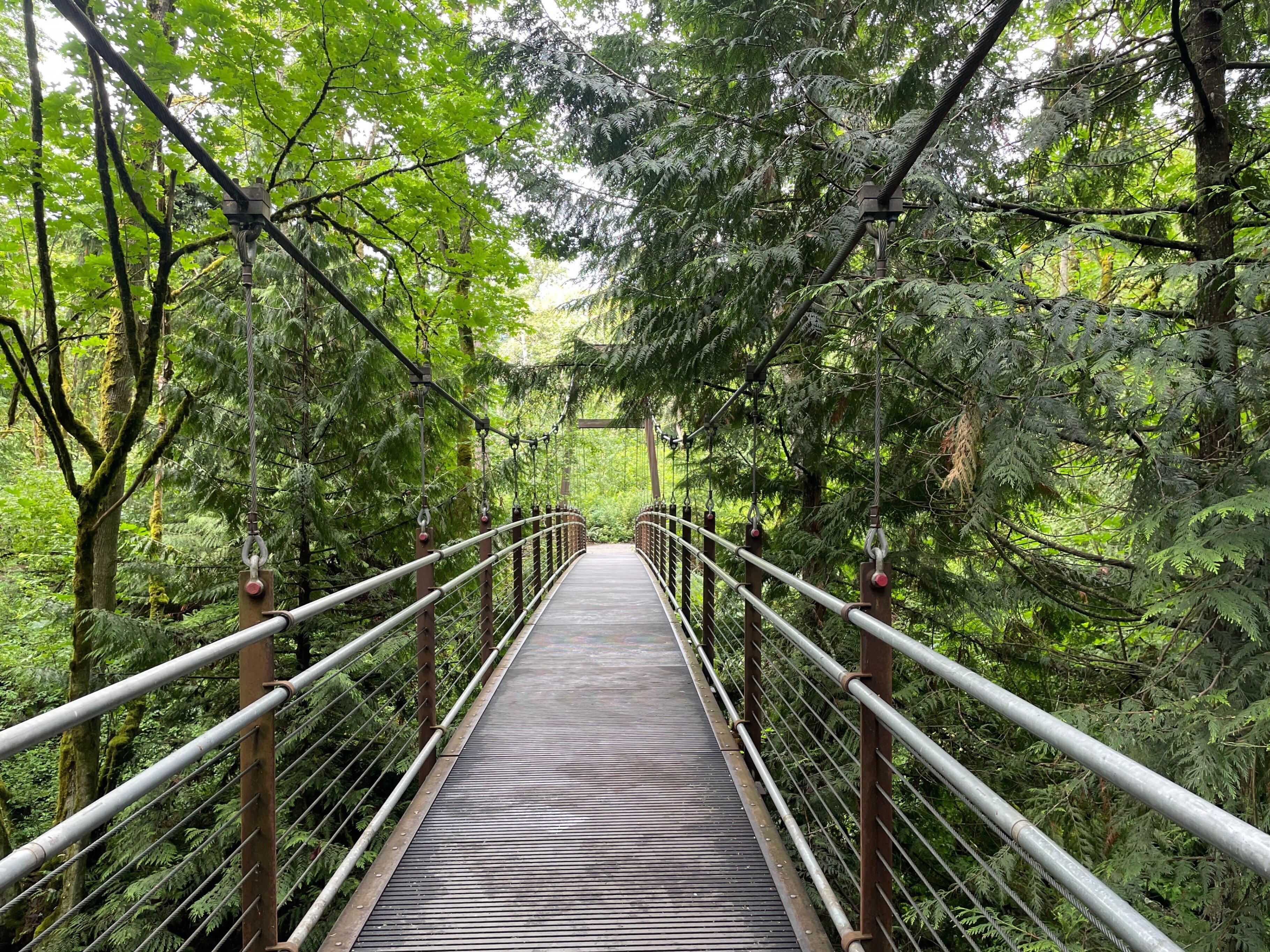 Favorite Parks nearby Bellevue｜picton_wakaba