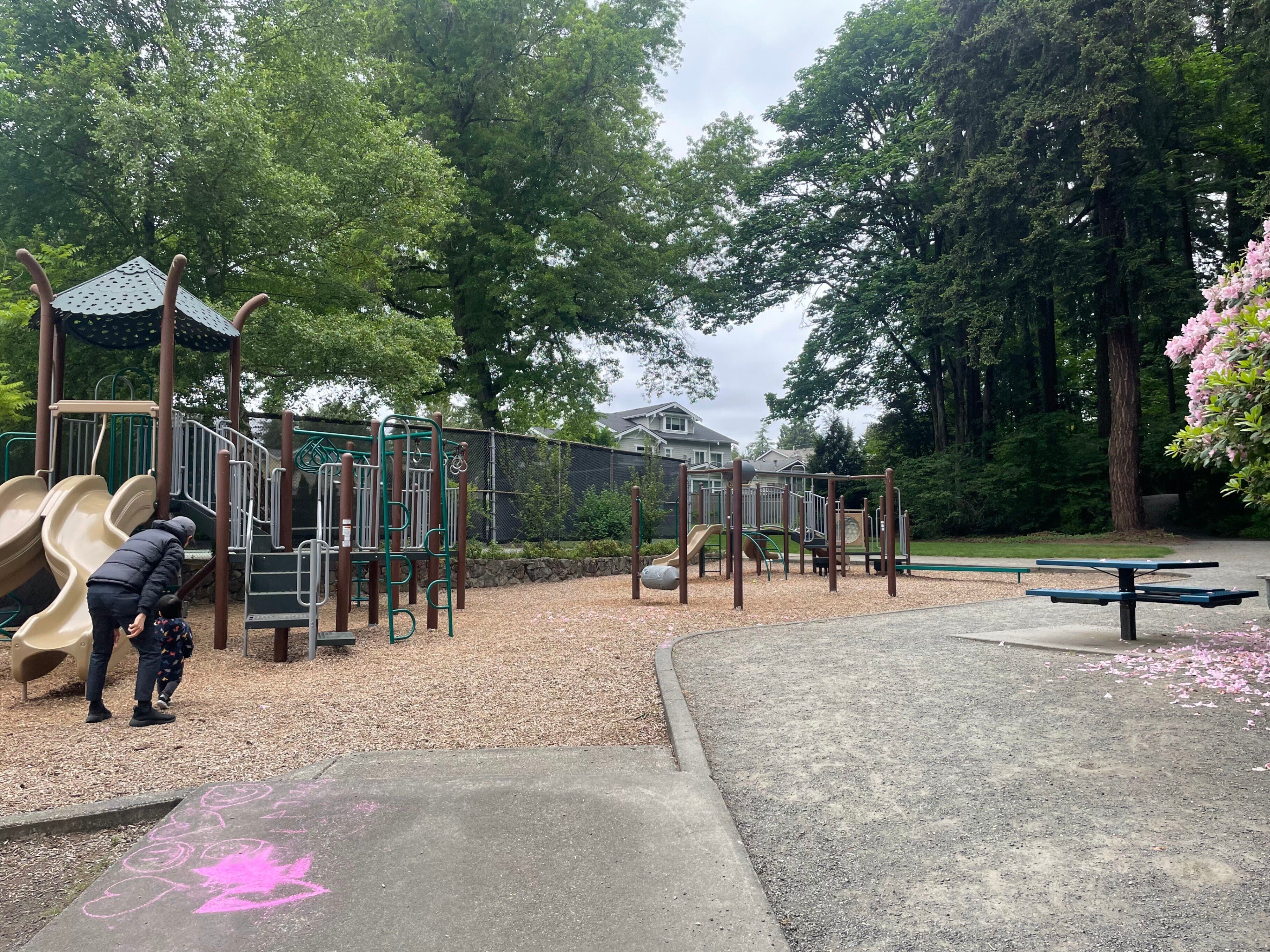 大学が見える公園 Favorite Parks nearby Bellevue｜picton_wakaba