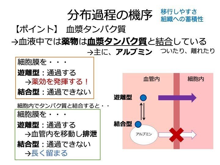 分子薬物動態学 分子薬物動態学 | 杉山 雄一, 楠原 洋之 |本 | 通販 | Amazon