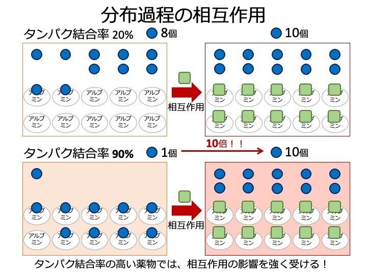 薬の相互作用としくみ 薬の相互作用としくみ 第6版/医歯薬出版株式会社