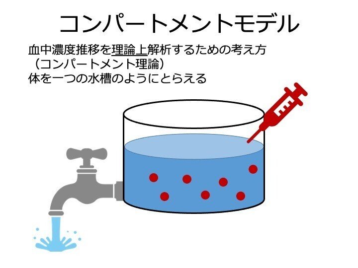 2-2 薬物動態学の指標｜こはく堂薬局