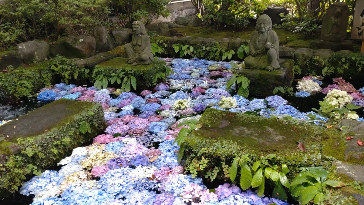 【神奈川Short Trip】はじめての鎌倉・横浜をおもてなし!|TRIP_YUKO|お出かけジャンキー
