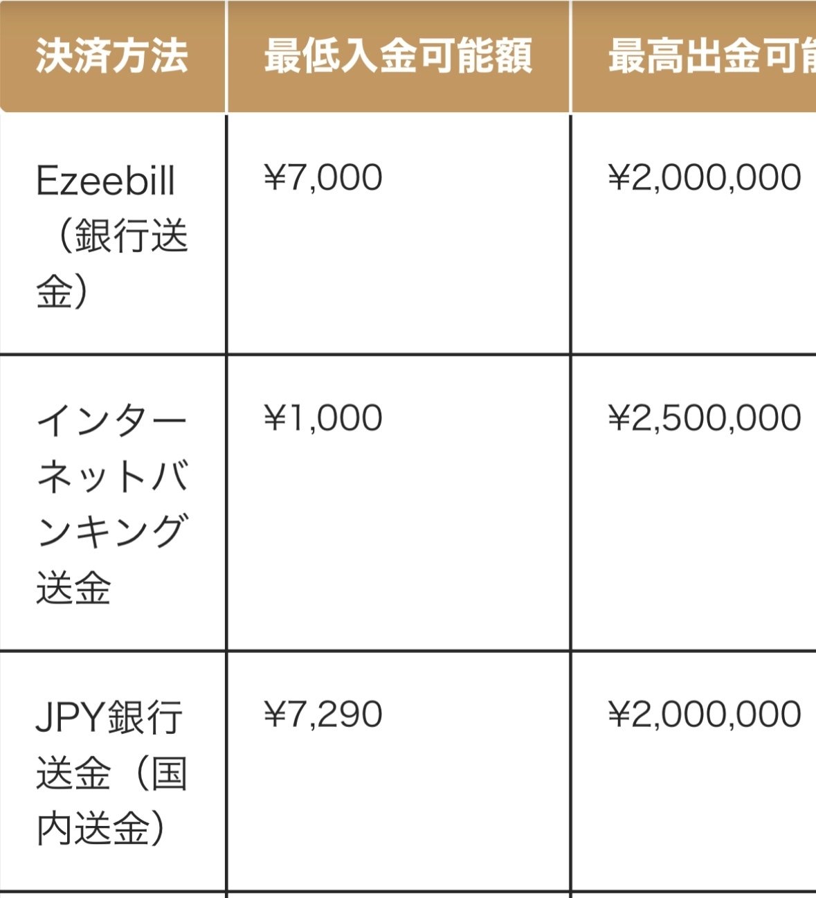 ビットカジノのレビュー🎰｜カジノ王