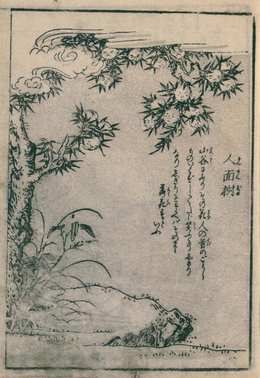 安曇野の鬼 林節子句集/北溟社/林節子（単行本） 楽天市場】【送料無料】 尚林堂 沈香 和響夕霧 絵蜜蝋 進物用お