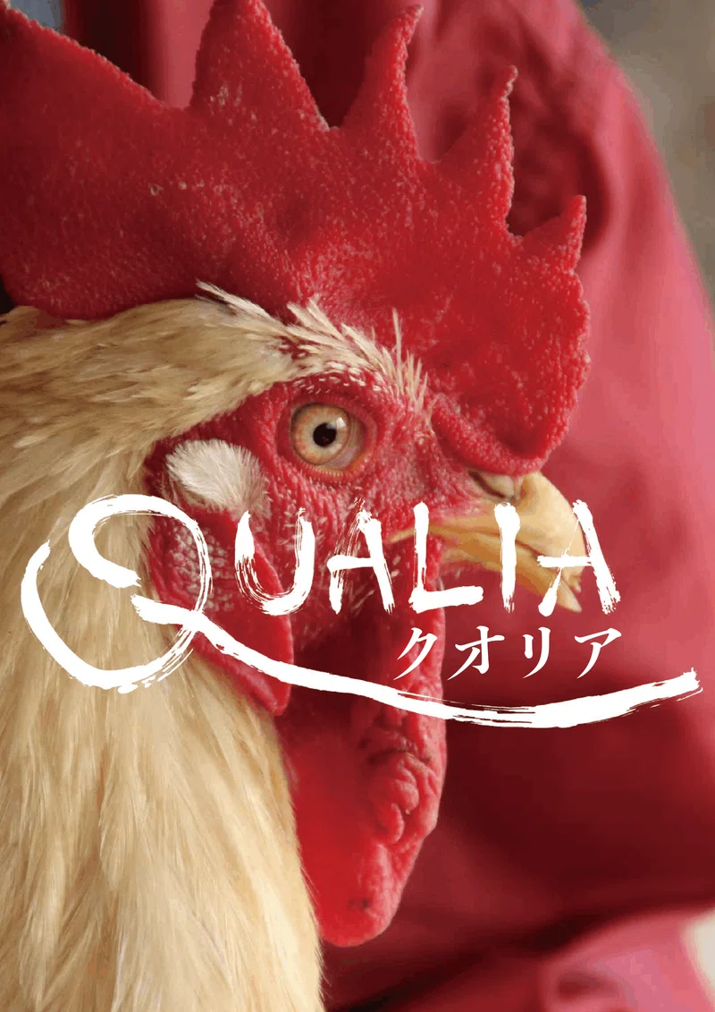 映画『クオリア』新着情報|映画『クオリア』公式ブログ
