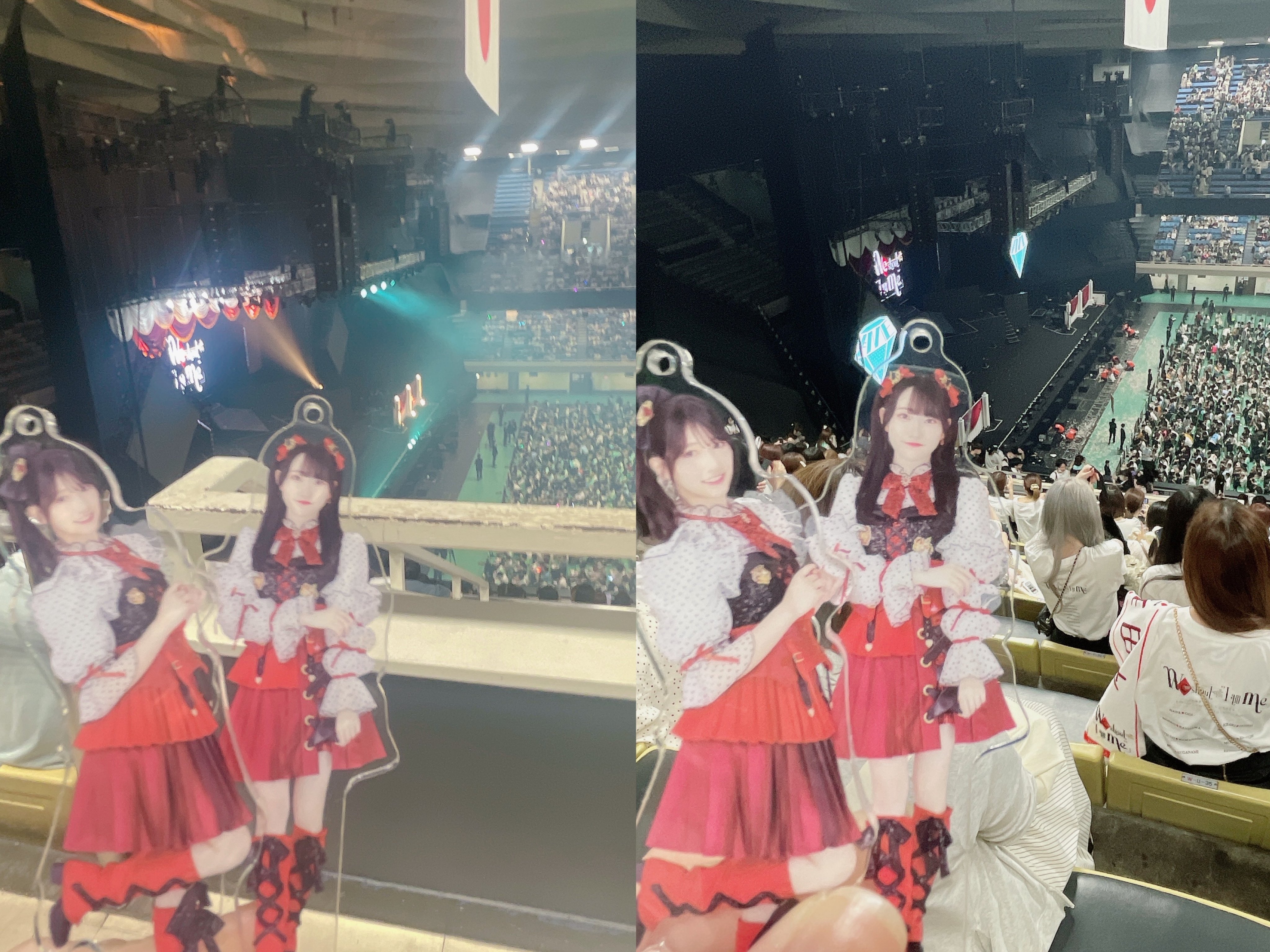 ノイミー　蟹沢萌子　ペンライトフィルム　全国ツアー2023 日本武道館 ノイミー 蟹沢萌子 ペンライトフィルム 全国ツアー2023 日本