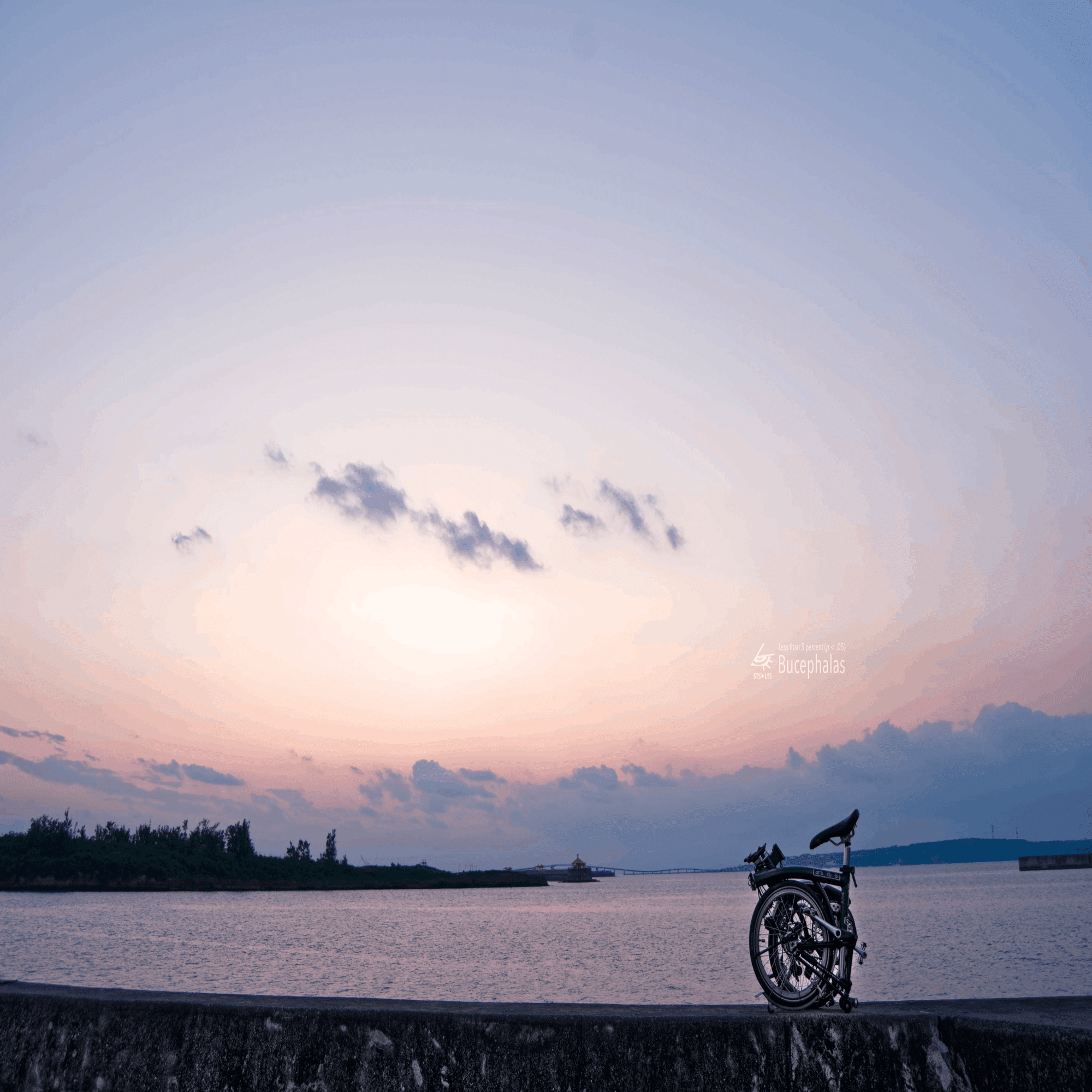 水平線って円だったんだ？｜Jun'ichiro Seyama, Ph.D.