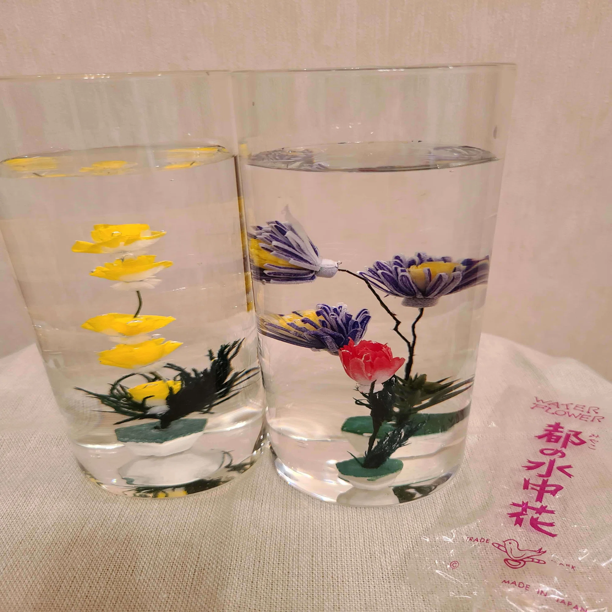 水中花〉ってどんな季語？【ゑひの歳時記 水無月】｜ゑひ［酔］ 上原 