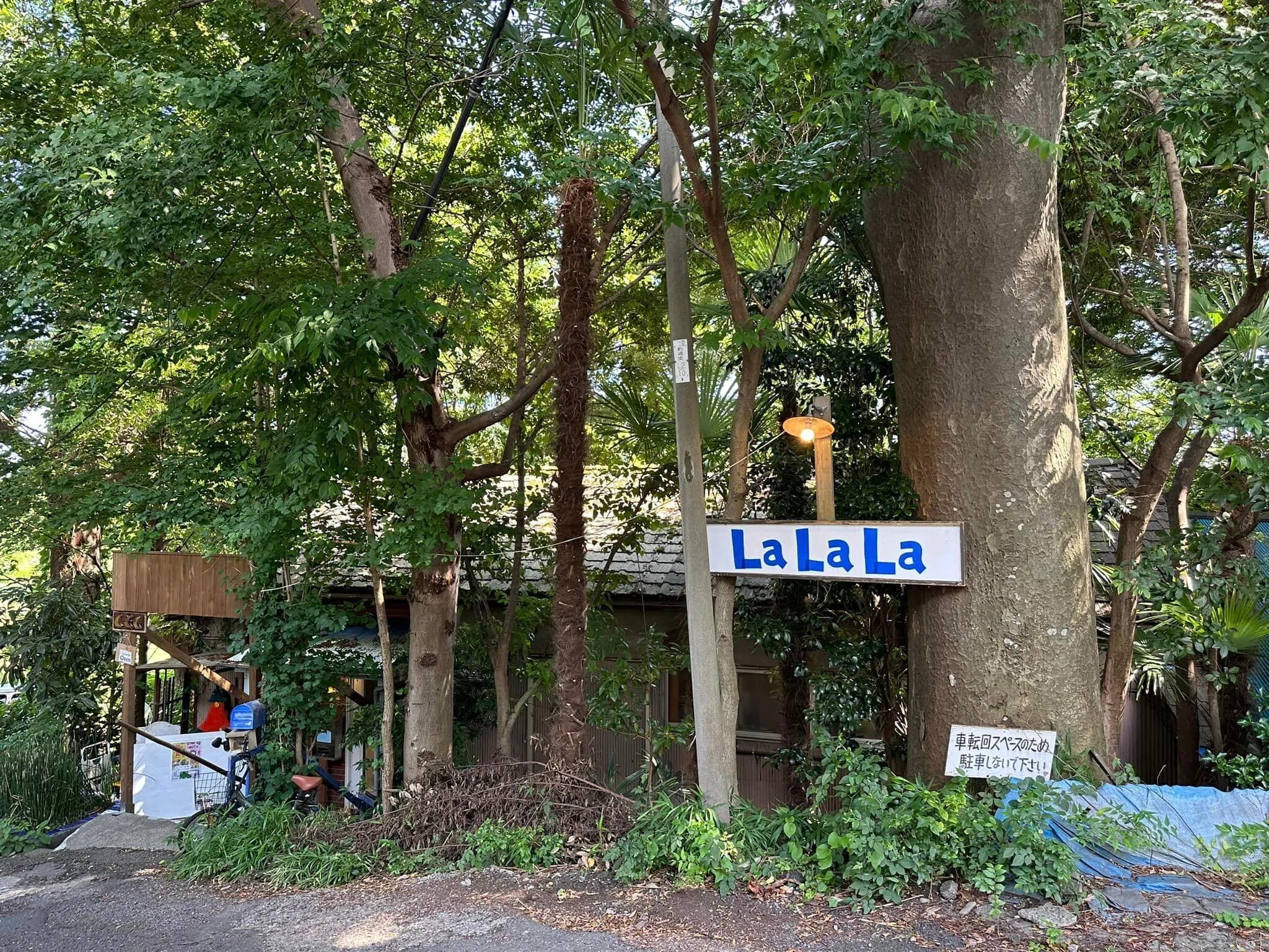 玉川宗則さんの個展に行ってきました｜森林育代 シーズプレイス代表