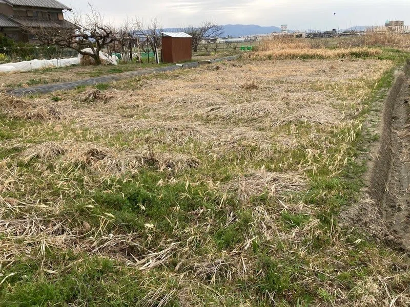 岐阜で、土に触れる(3)~休耕田の活用~|K_Nidaime