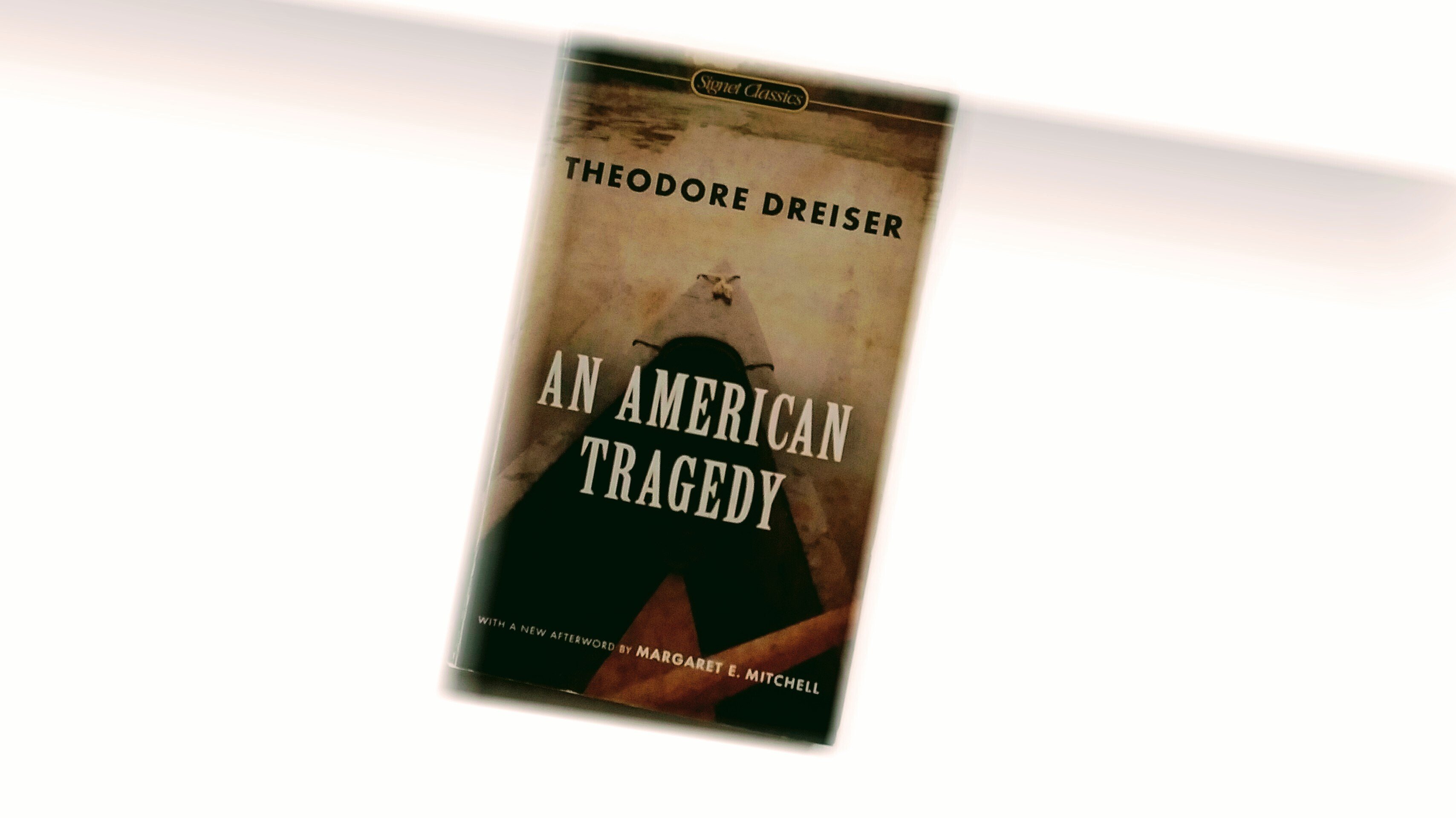 読書📖映画🎥ドライザー「アメリカの悲劇」| 「陽のあたる場所 読書📖映画🎥ドライザー「アメリカの悲劇」| 「陽のあたる場所