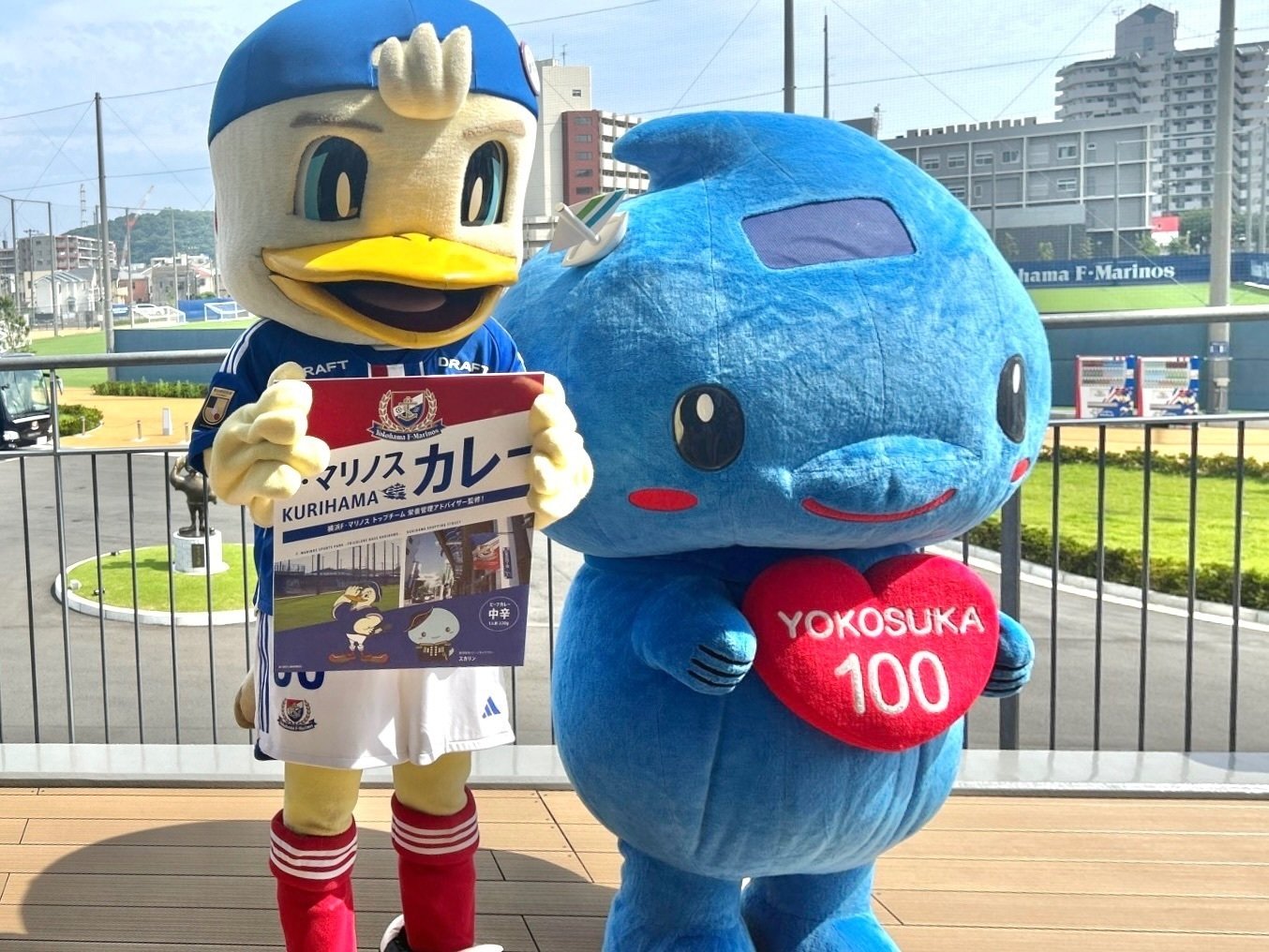 ビックぬいぐるみ マリノス マリノスケ 限定品 ビックぬいぐるみ マリノス マリノスケ 限定品 横浜F・マリノス