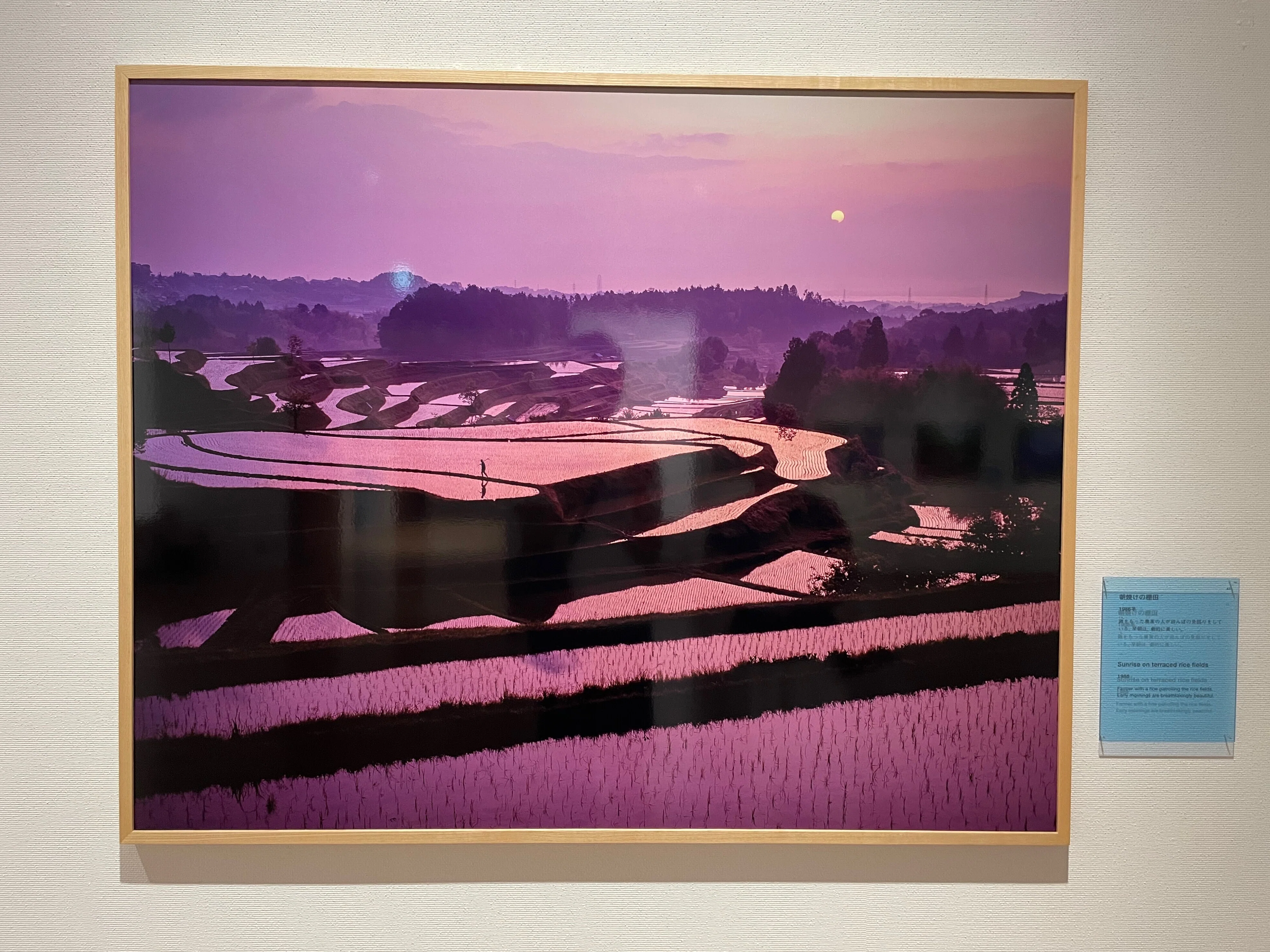今森光彦『里山 水の匂いのするところ』展｜Akio van der Meer