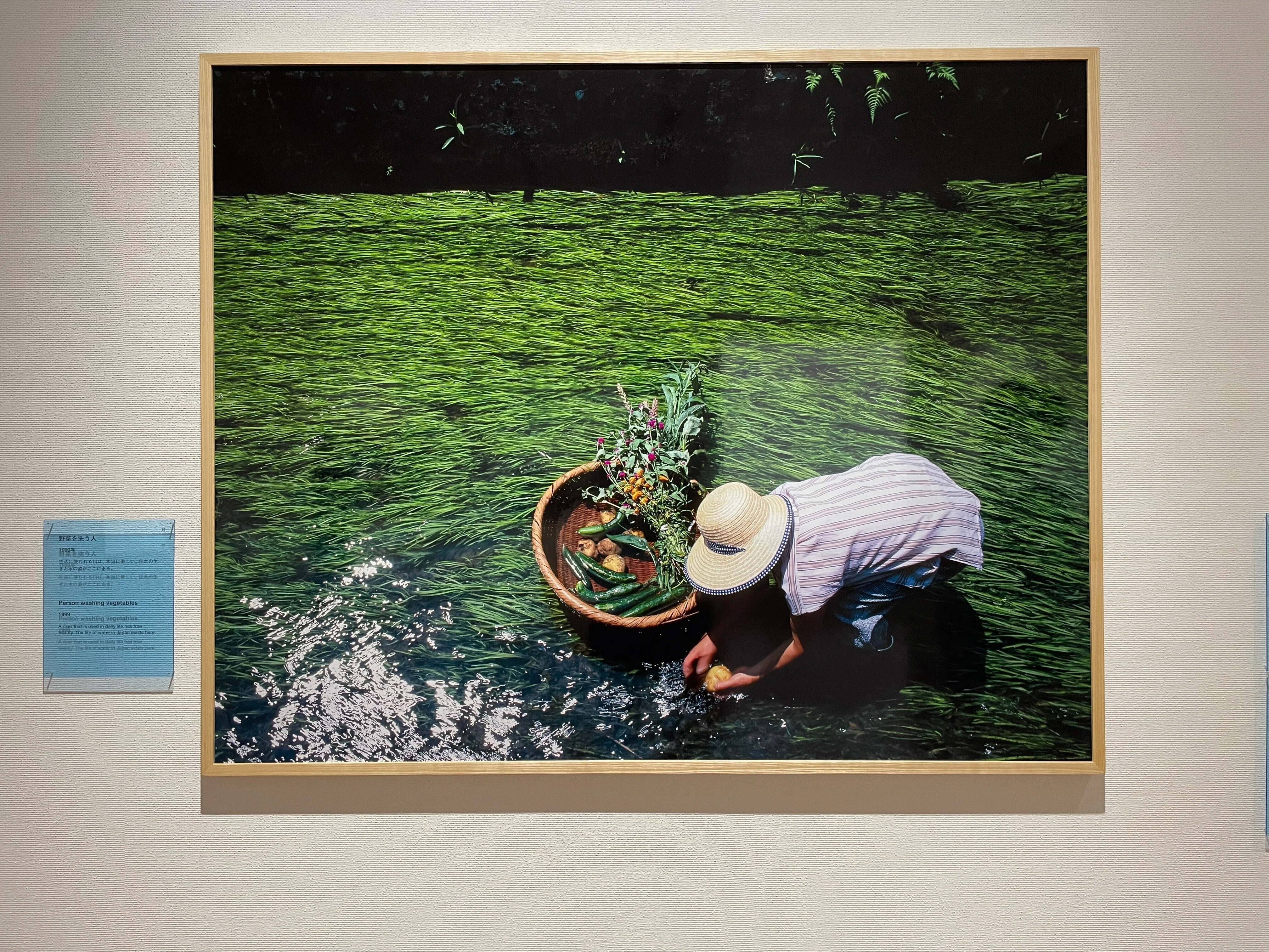 今森光彦『里山 水の匂いのするところ』展｜Akio van der Meer