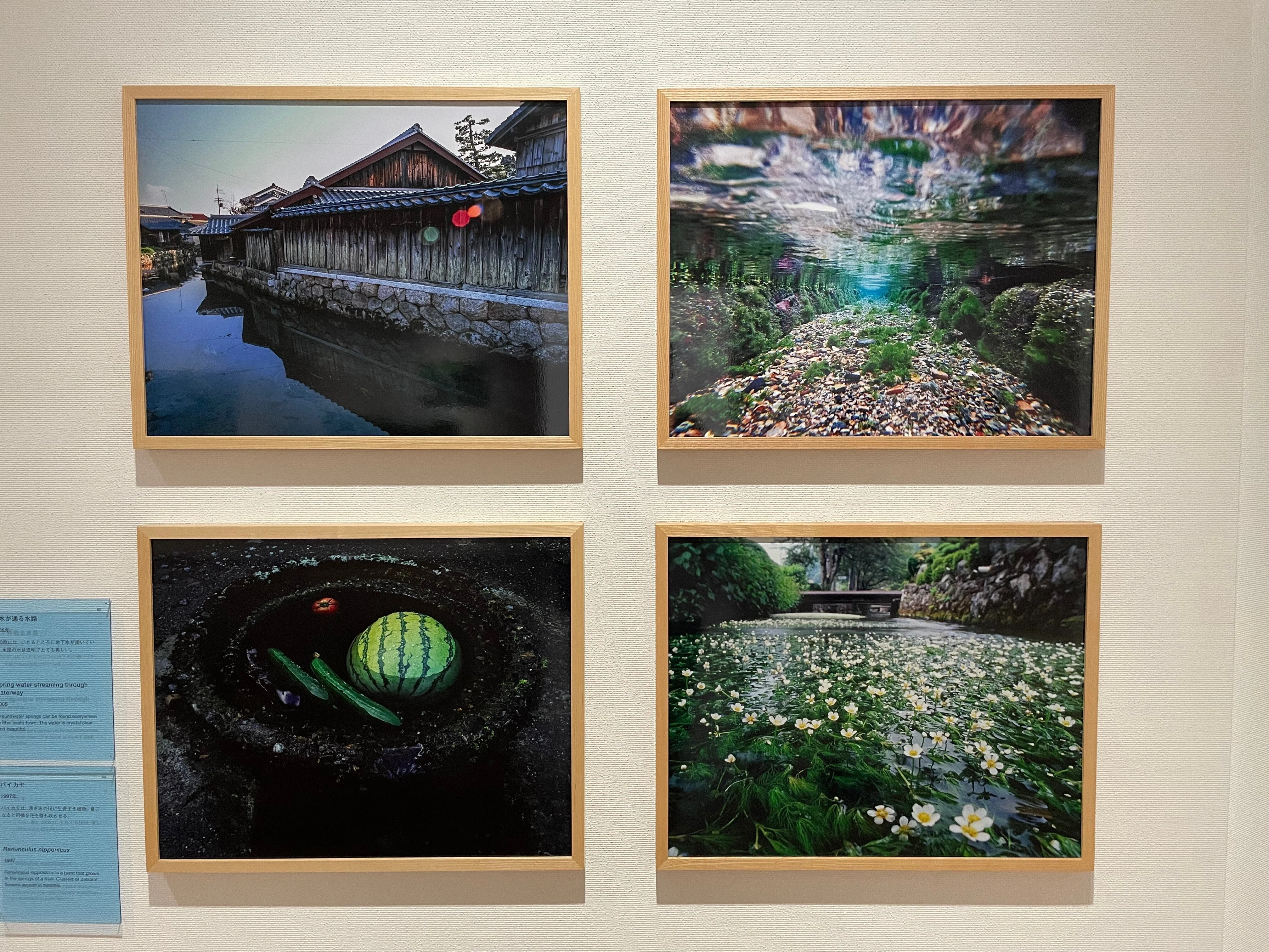 今森光彦『里山 水の匂いのするところ』展｜Akio van der Meer