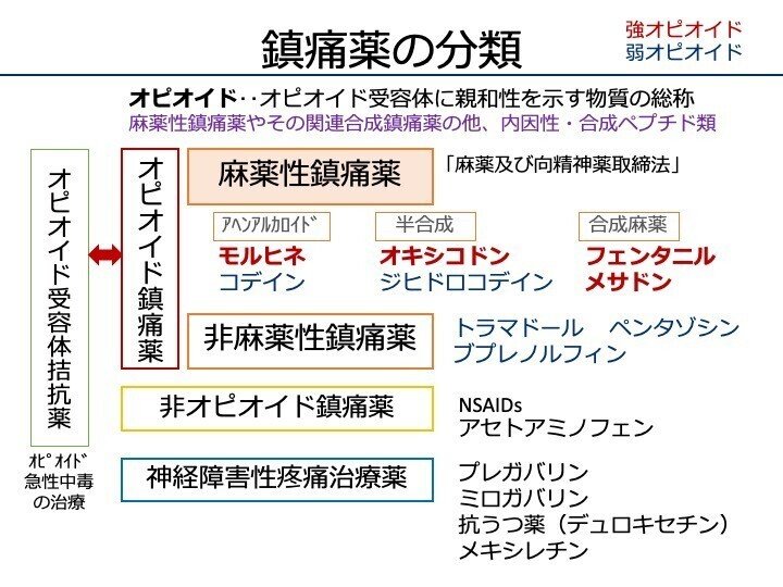 7-6 麻薬性鎮痛薬｜こはく堂薬局