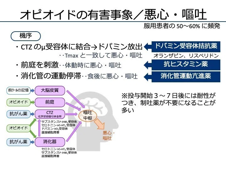 7-6 麻薬性鎮痛薬｜こはく堂薬局