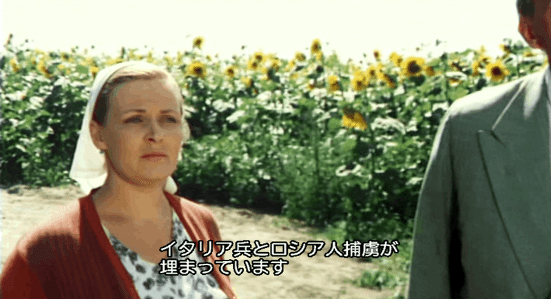 映画ひまわり