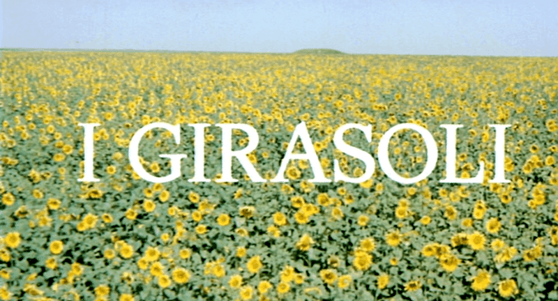  I Girasoli 