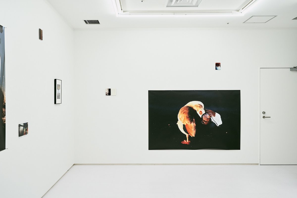 写真展】In a well | Takuya Maeda｜Ohara Shogo 