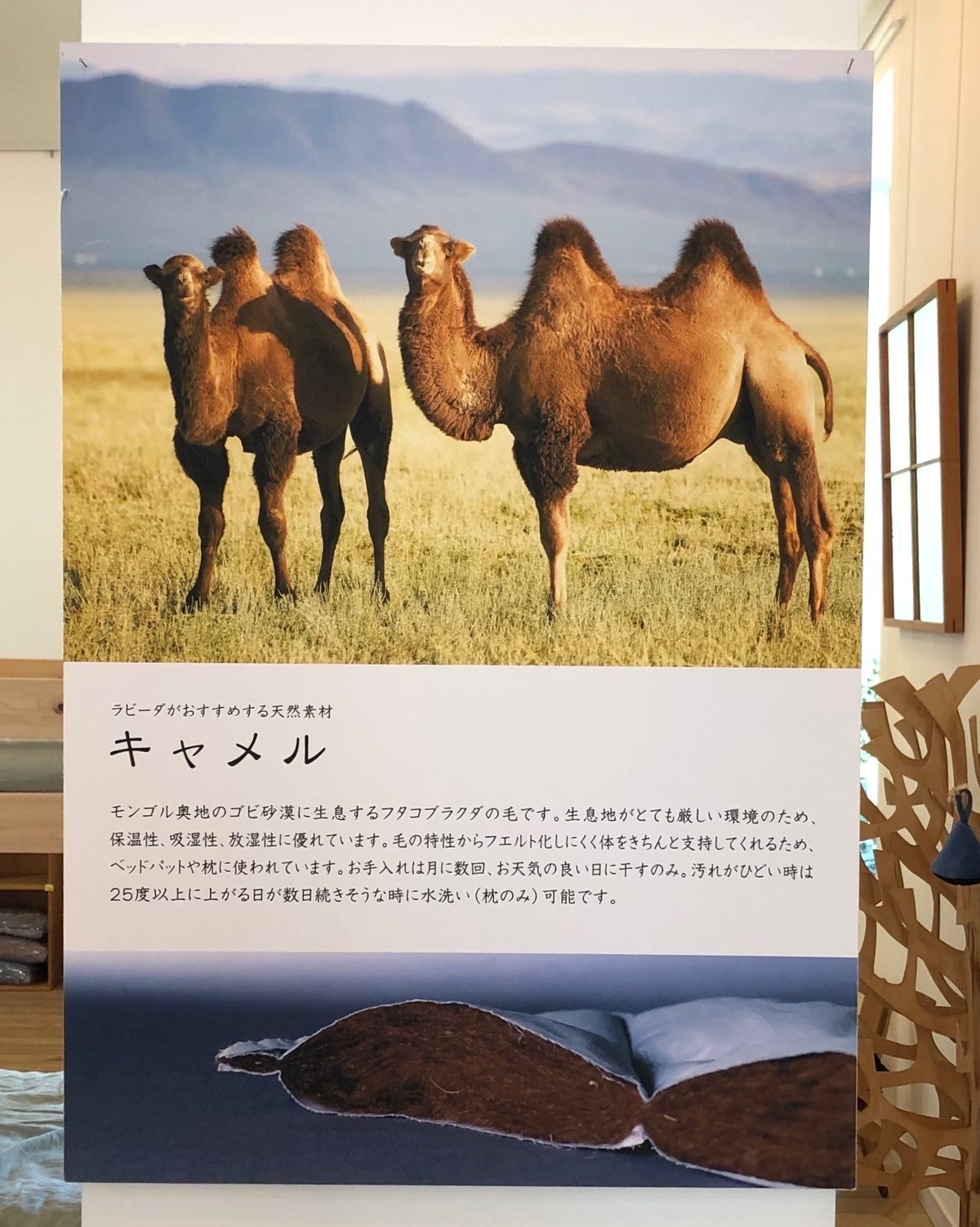 新品同様 イワタ キャメルピロー ラクダ枕（良い眠りは「心も体も健康 