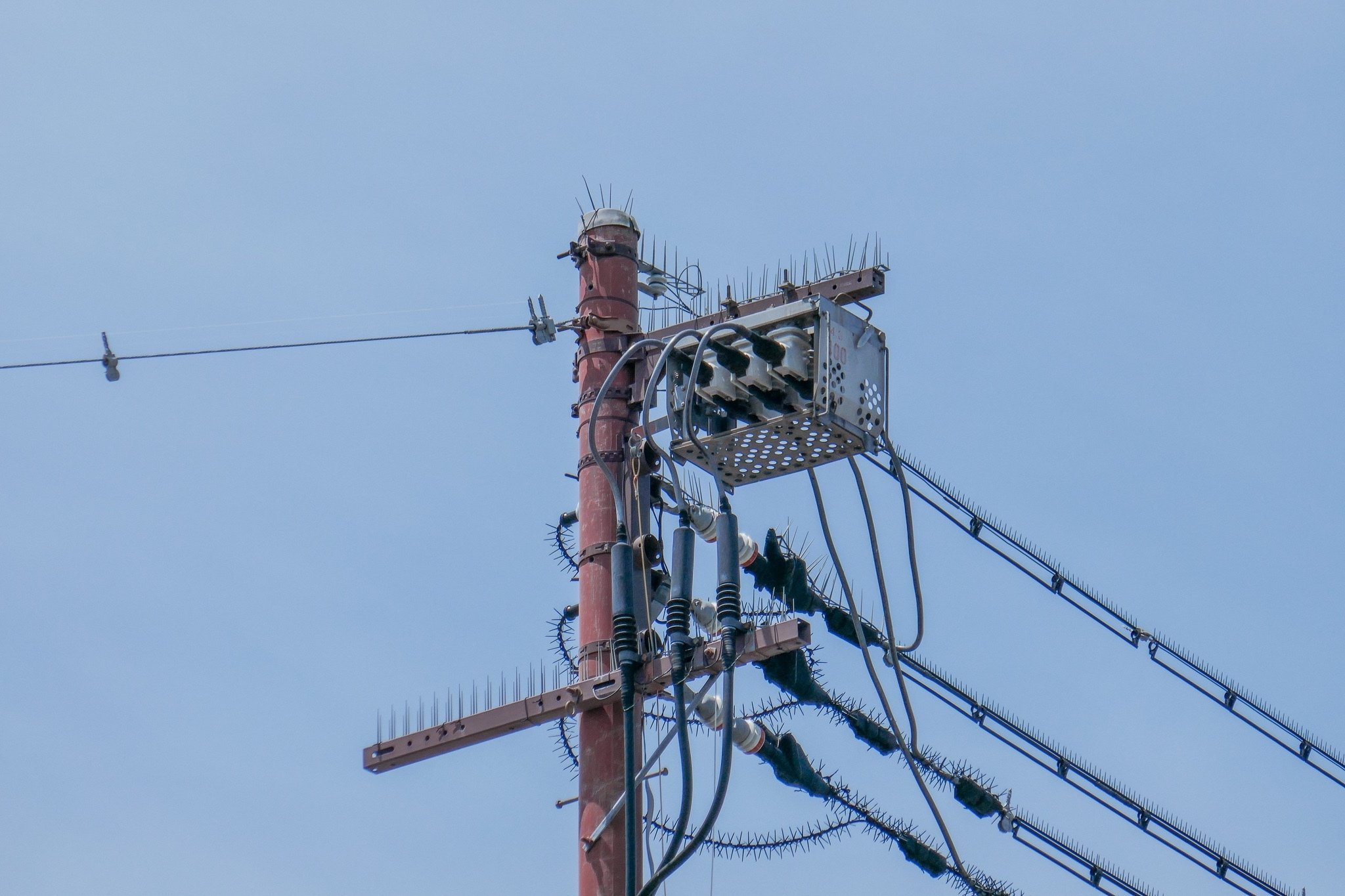 住電HSTケーブル編 きちんと伝える|電線アンバサダー 石山蓮華 住電HSTケーブル編 きちんと伝える|電線アンバサダー 石山蓮華
