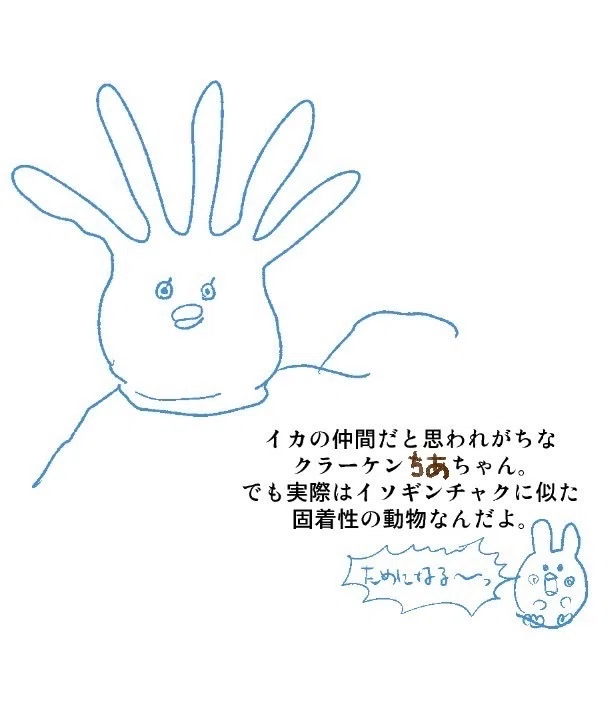 LINE Stickers Now on Sale｜ちあもね